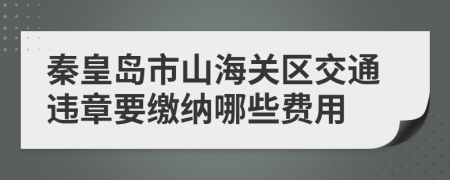 秦皇岛市山海关区交通违章要缴纳哪些费用