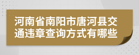 河南省南阳市唐河县交通违章查询方式有哪些