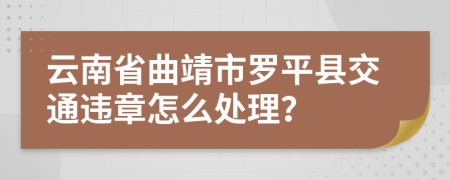 云南省曲靖市罗平县交通违章怎么处理？