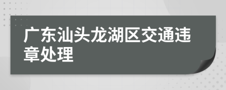 广东汕头龙湖区交通违章处理