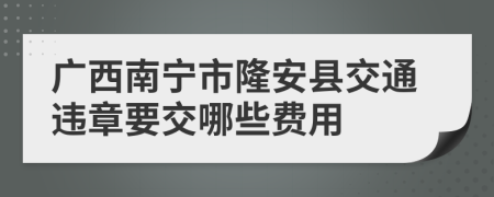 广西南宁市隆安县交通违章要交哪些费用