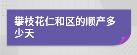 攀枝花仁和区的顺产多少天