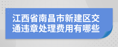 江西省南昌市新建区交通违章处理费用有哪些