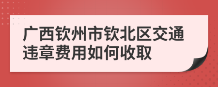 广西钦州市钦北区交通违章费用如何收取