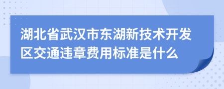 湖北省武汉市东湖新技术开发区交通违章费用标准是什么