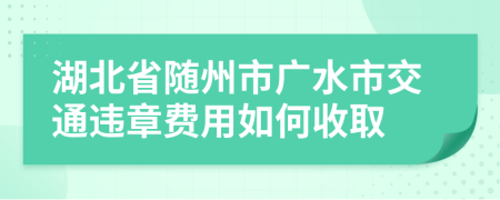 湖北省随州市广水市交通违章费用如何收取