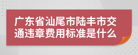 广东省汕尾市陆丰市交通违章费用标准是什么