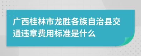 广西桂林市龙胜各族自治县交通违章费用标准是什么