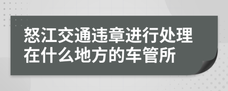 怒江交通违章进行处理在什么地方的车管所