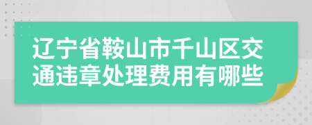 辽宁省鞍山市千山区交通违章处理费用有哪些