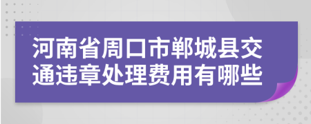 河南省周口市郸城县交通违章处理费用有哪些