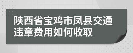 陕西省宝鸡市凤县交通违章费用如何收取