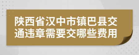 陕西省汉中市镇巴县交通违章需要交哪些费用