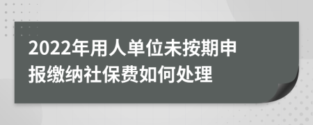 2022年用人单位未按期申报缴纳社保费如何处理