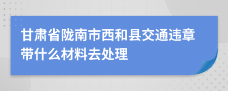 甘肃省陇南市西和县交通违章带什么材料去处理