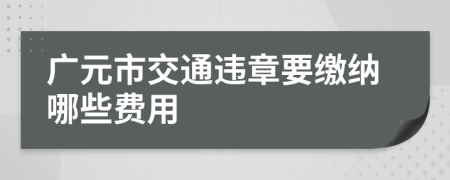 广元市交通违章要缴纳哪些费用