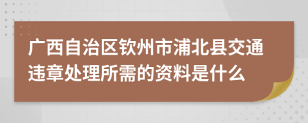 广西自治区钦州市浦北县交通违章处理所需的资料是什么