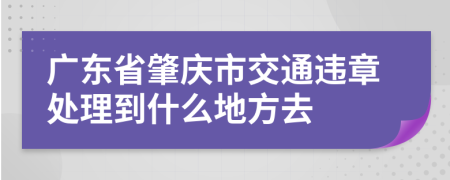 广东省肇庆市交通违章处理到什么地方去