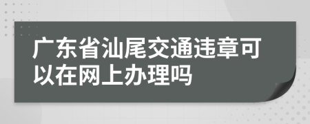 广东省汕尾交通违章可以在网上办理吗