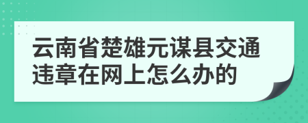 云南省楚雄元谋县交通违章在网上怎么办的