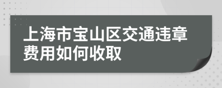 上海市宝山区交通违章费用如何收取