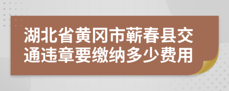 湖北省黄冈市蕲春县交通违章要缴纳多少费用