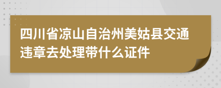 四川省凉山自治州美姑县交通违章去处理带什么证件