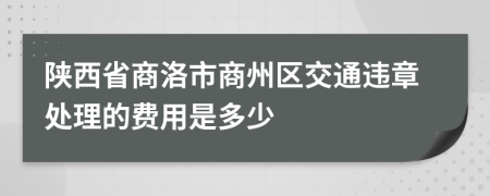 陕西省商洛市商州区交通违章处理的费用是多少