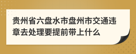 贵州省六盘水市盘州市交通违章去处理要提前带上什么