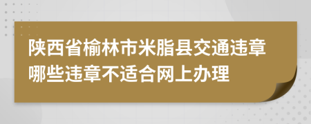 陕西省榆林市米脂县交通违章哪些违章不适合网上办理