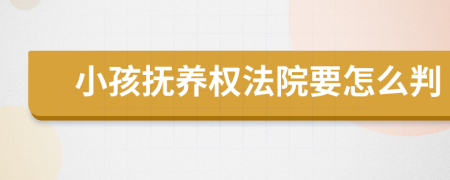 小孩抚养权法院要怎么判