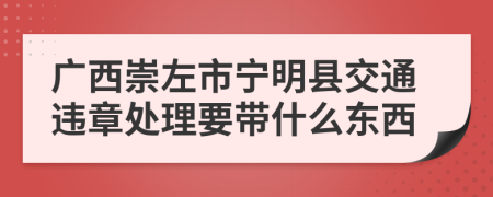 广西崇左市宁明县交通违章处理要带什么东西