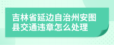 吉林省延边自治州安图县交通违章怎么处理