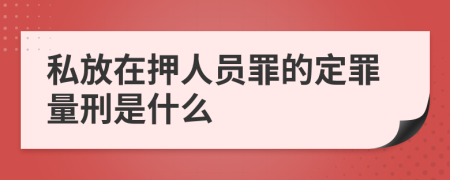 私放在押人员罪的定罪量刑是什么