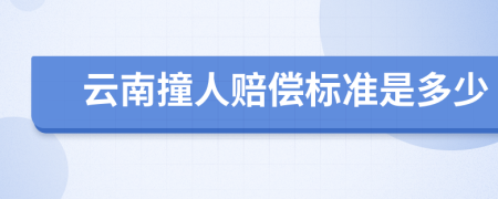 云南撞人赔偿标准是多少