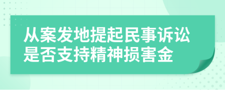 从案发地提起民事诉讼是否支持精神损害金