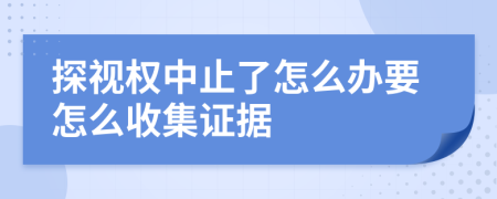 探视权中止了怎么办要怎么收集证据