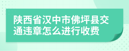 陕西省汉中市佛坪县交通违章怎么进行收费