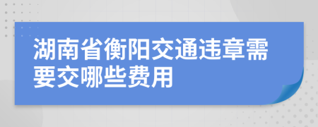 湖南省衡阳交通违章需要交哪些费用