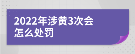 2022年涉黄3次会怎么处罚