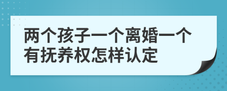 两个孩子一个离婚一个有抚养权怎样认定