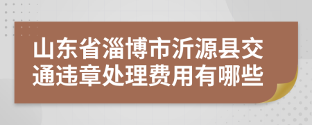 山东省淄博市沂源县交通违章处理费用有哪些