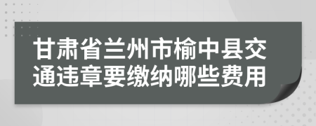 甘肃省兰州市榆中县交通违章要缴纳哪些费用