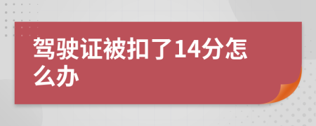 驾驶证被扣了14分怎么办