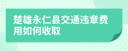 楚雄永仁县交通违章费用如何收取