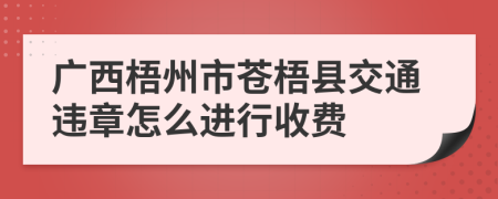 广西梧州市苍梧县交通违章怎么进行收费