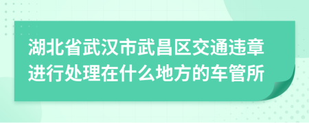 湖北省武汉市武昌区交通违章进行处理在什么地方的车管所