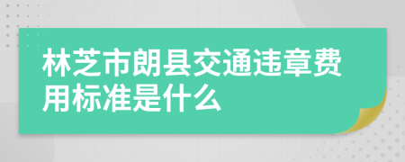 林芝市朗县交通违章费用标准是什么