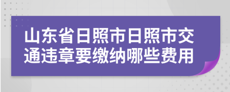 山东省日照市日照市交通违章要缴纳哪些费用