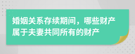 婚姻关系存续期间，哪些财产属于夫妻共同所有的财产